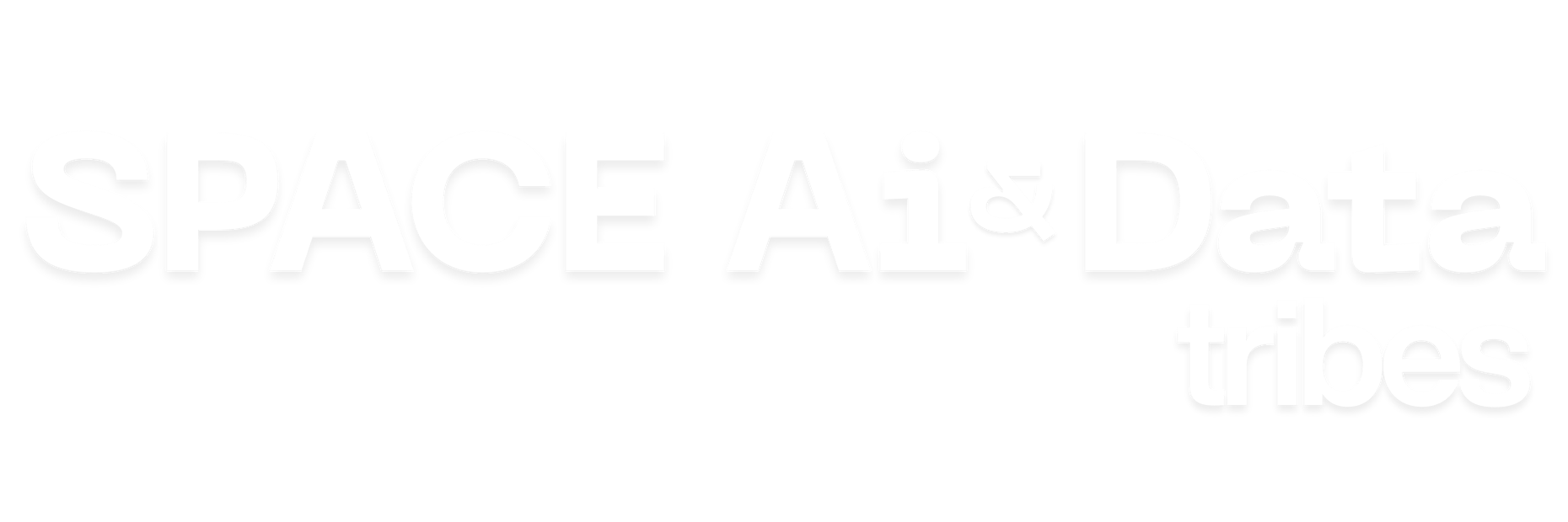 SPACE Ai & Data Logo SPACE Ai & Data Logo